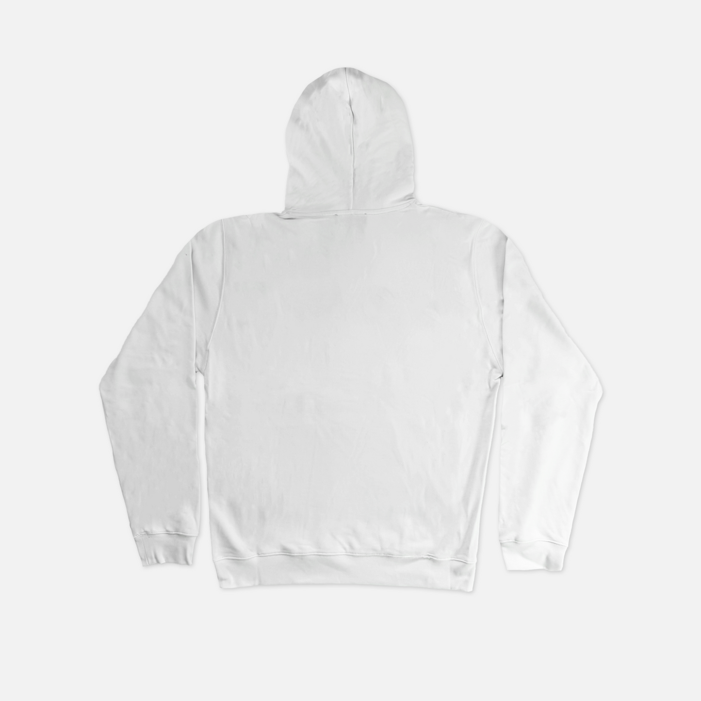 CLASSIC LOGO HOODIE WHITE