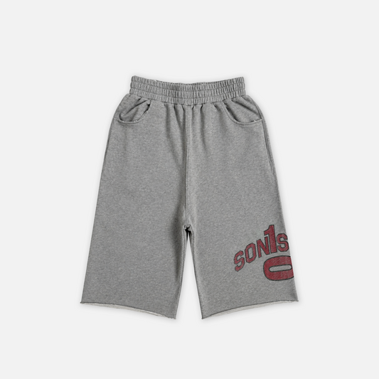 COLLEGE SHORTS